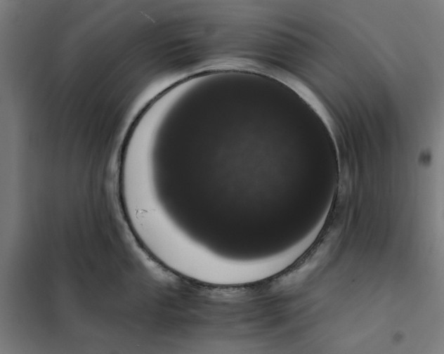 X0000101681053200808071104