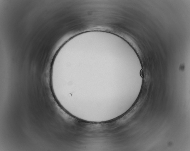 X0000101681054200808071104
