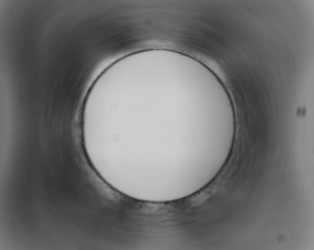 X0000101681056200808071104