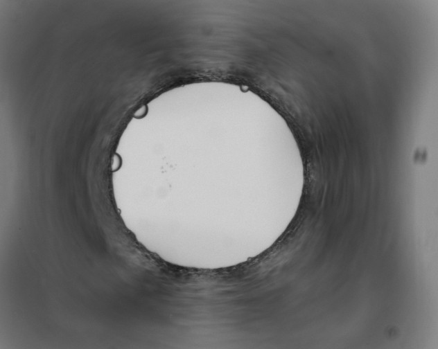 X0000101681057200808071104