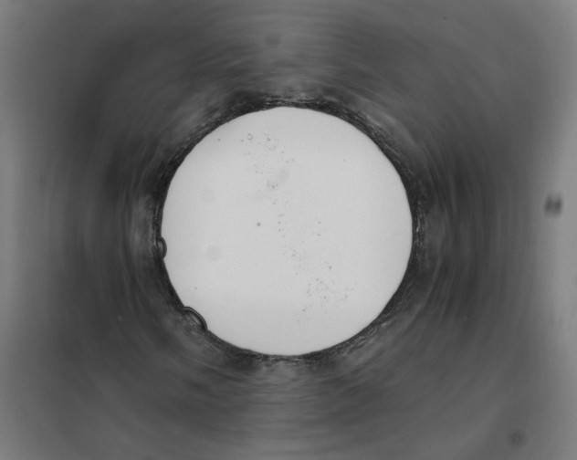 X0000101681058200808071104