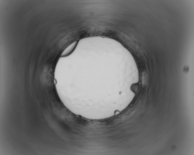X0000101681059200808071104