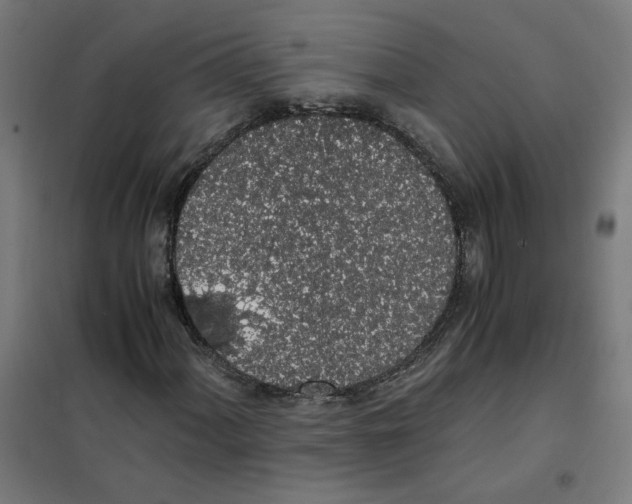 X0000101681060200808071104