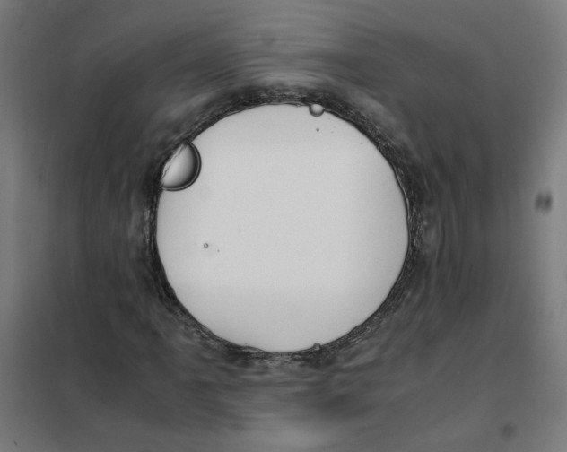 X0000101681061200808071104