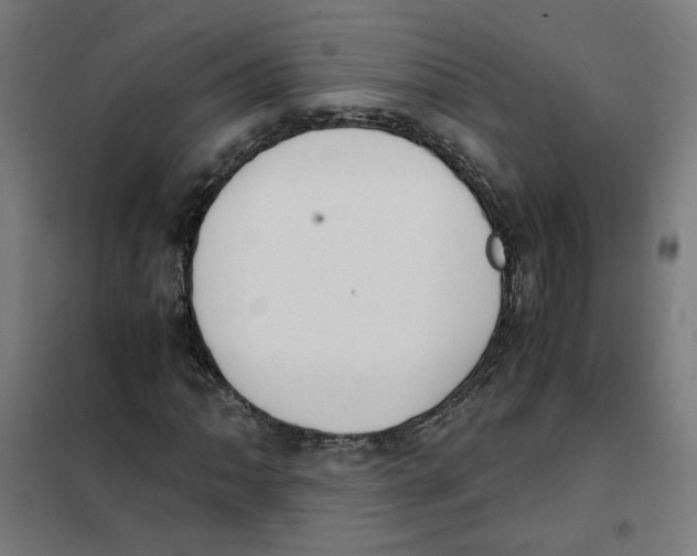 X0000101681062200808071104