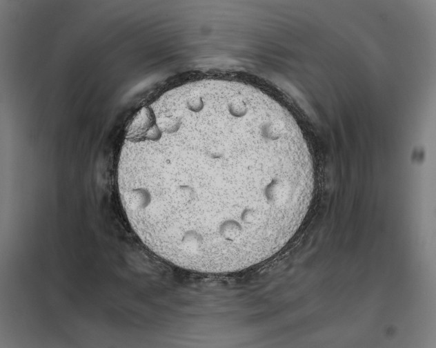 X0000101681063200808071104