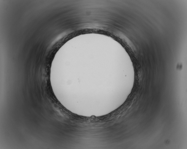 X0000101681064200808071104