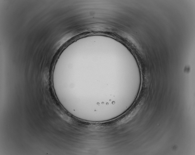 X0000101681065200808071104