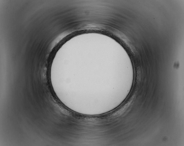 X0000101681066200808071103