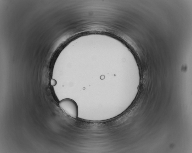 X0000101681067200808071103