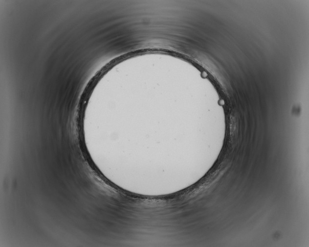 X0000101681068200808071103