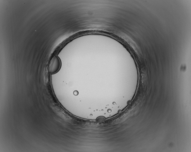 X0000101681069200808071103