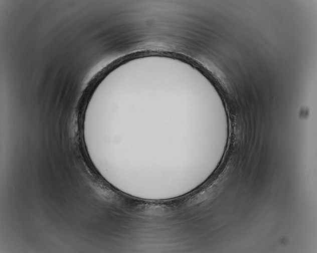 X0000101681070200808071103