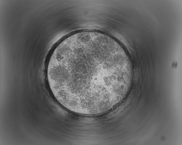 X0000101681071200808071103