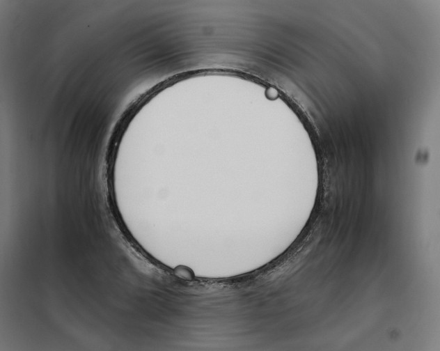 X0000101681072200808071103