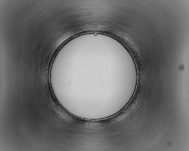 X0000101681073200808071103