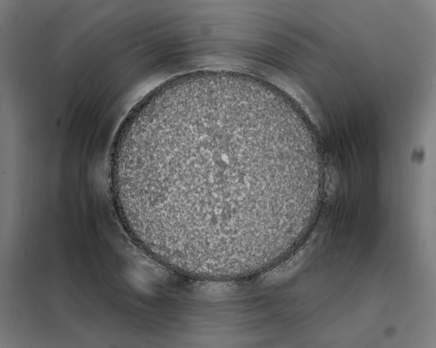 X0000101681074200808071103