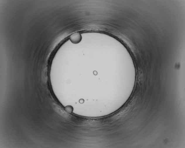 X0000101681075200808071103