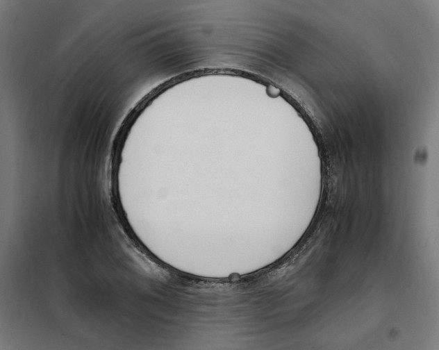 X0000101681076200808071103