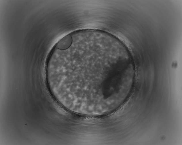 X0000101681077200808071103