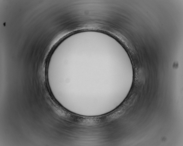 X0000101681078200808071103