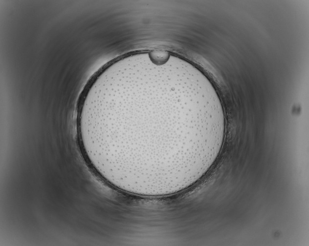 X0000101681079200808071103