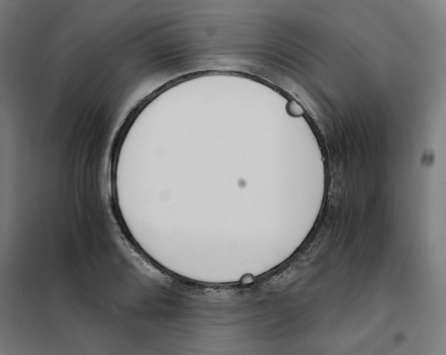 X0000101681080200808071103