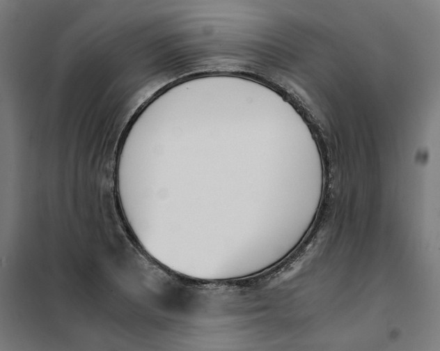 X0000101681081200808071103