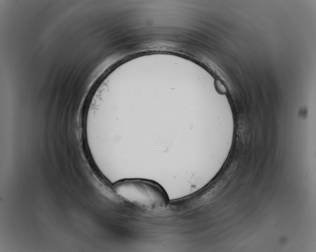 X0000101681082200808071103
