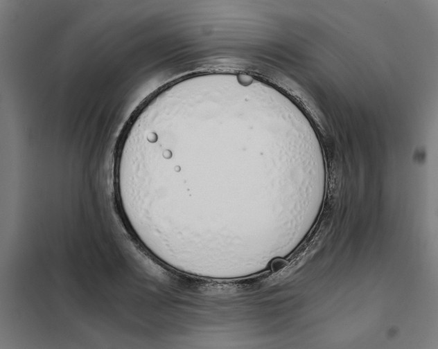 X0000101681083200808071103