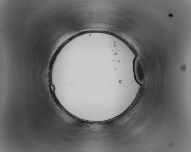 X0000101681085200808071103