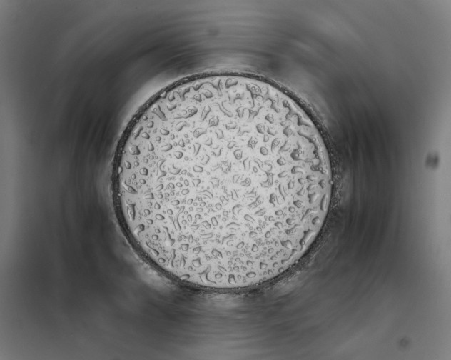 X0000101681086200808071103