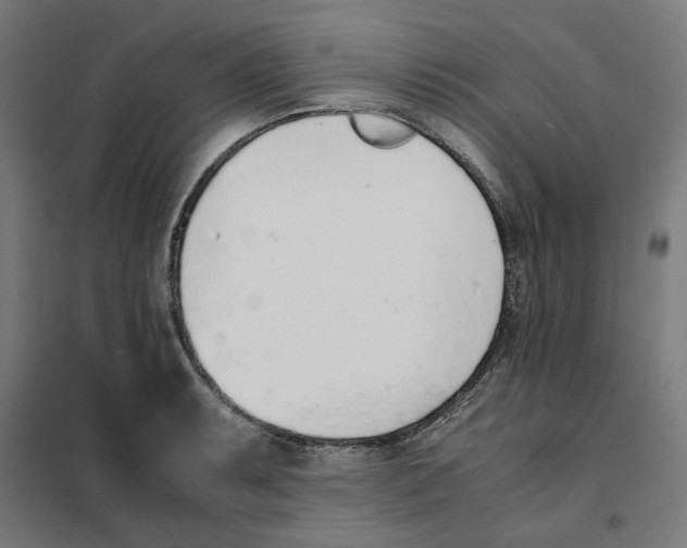 X0000101681087200808071103