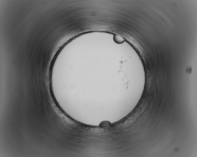 X0000101681088200808071103