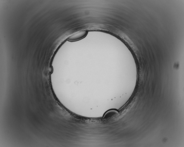 X0000101681089200808071103