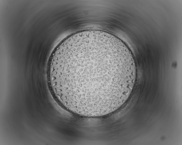 X0000101681090200808071103