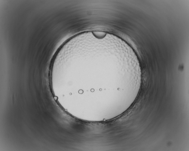 X0000101681091200808071103