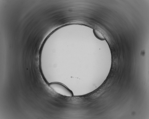 X0000101681092200808071103