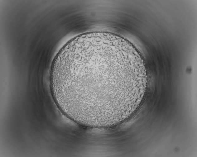X0000101681094200808071103