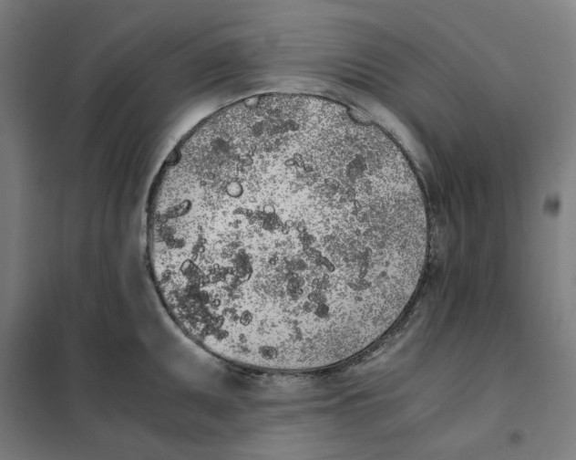 X0000101681095200808071103