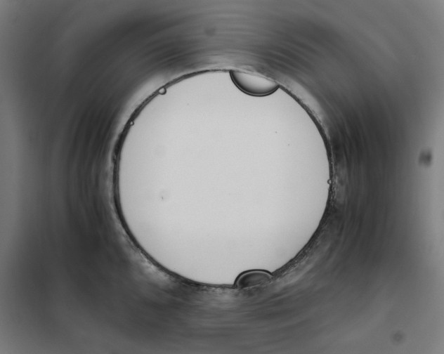 X0000101681096200808071103