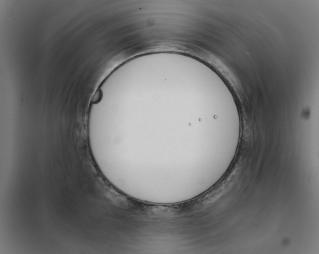 X0000101681097200808071103