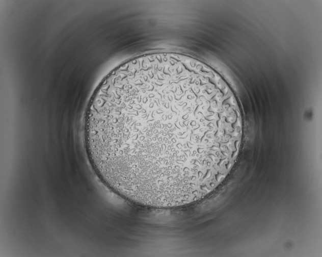 X0000101681098200808071103