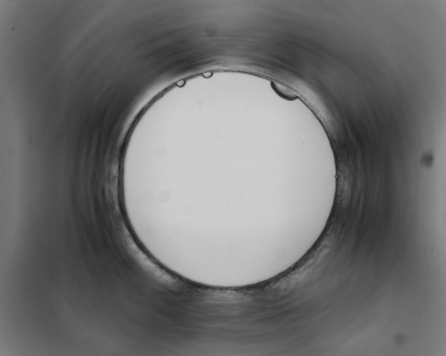 X0000101681100200808071103