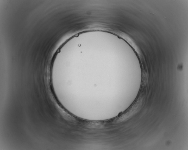 X0000101681101200808071103