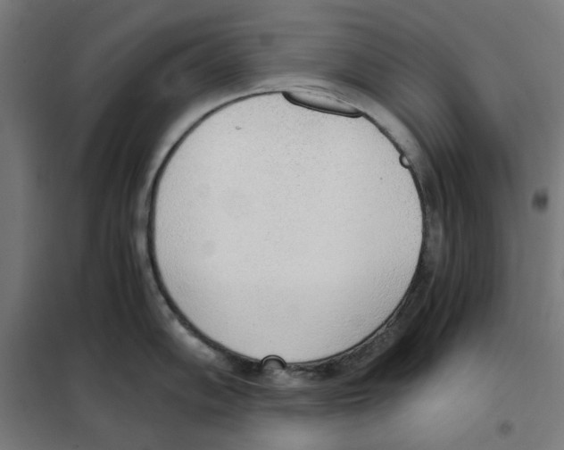X0000101681102200808071103