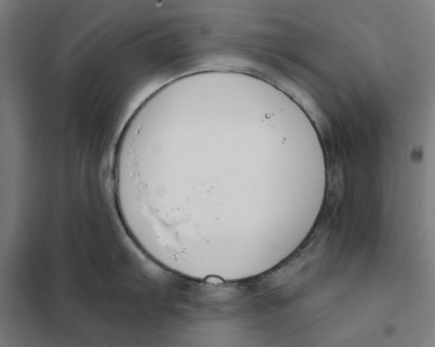 X0000101681103200808071103