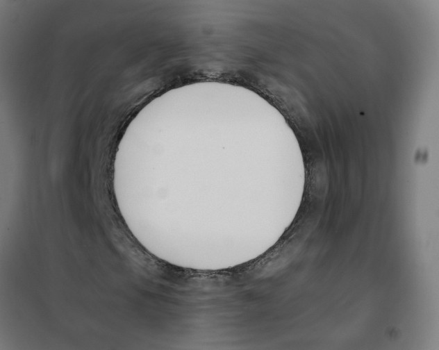 X0000101681105200808071102