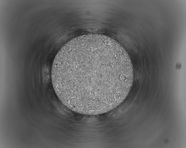 X0000101681106200808071102