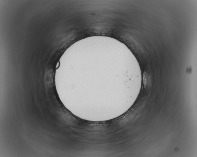 X0000101681107200808071102